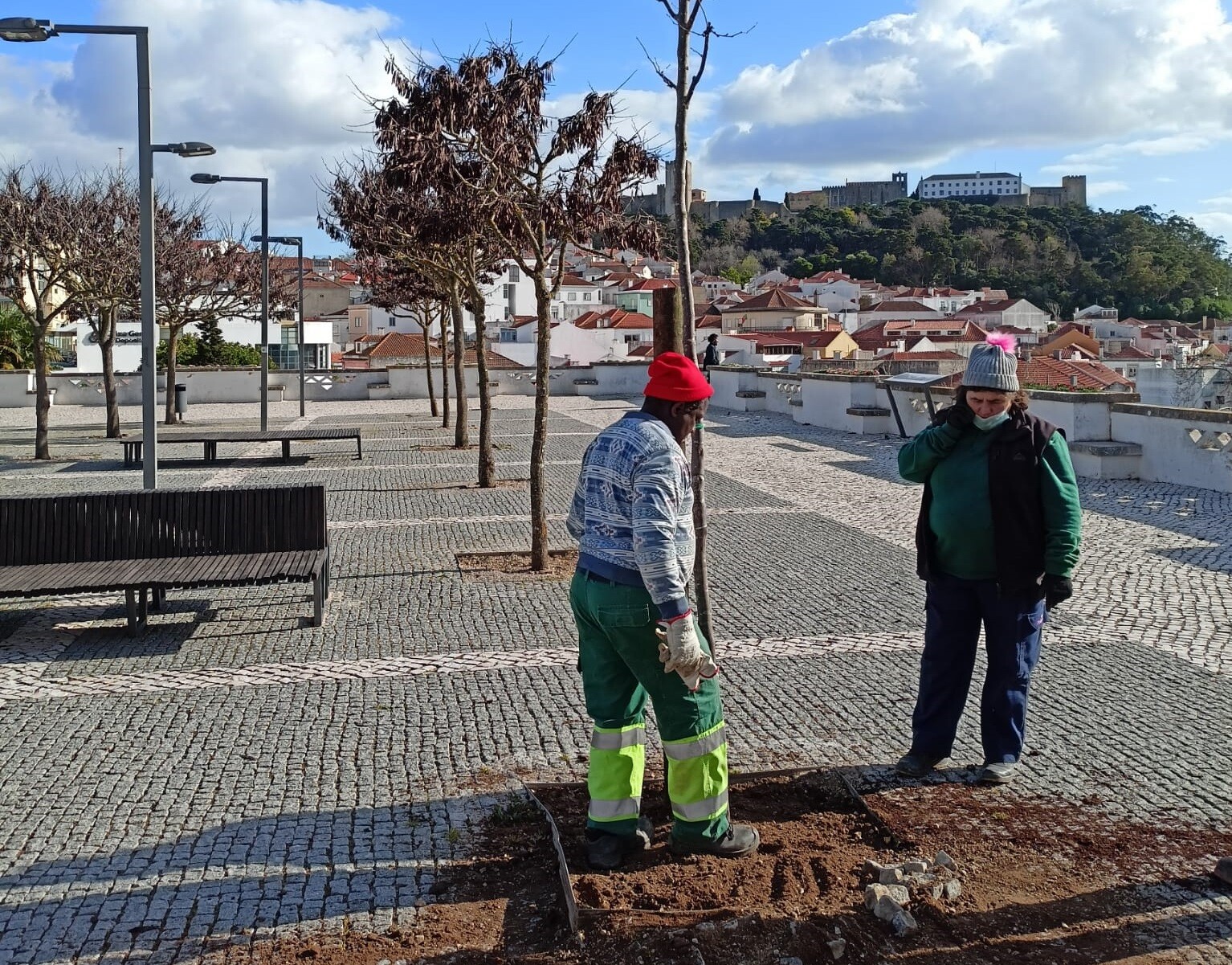 Replantação de árvores valoriza espaço público em Palmela