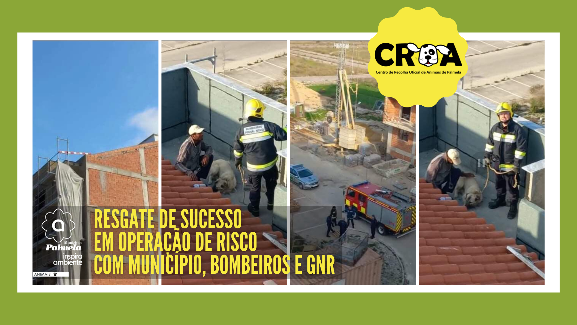 Município, Bombeiros e GNR resgatam cão em operação de risco