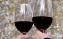 Produtores de vinho do concelho premiados em certame italiano