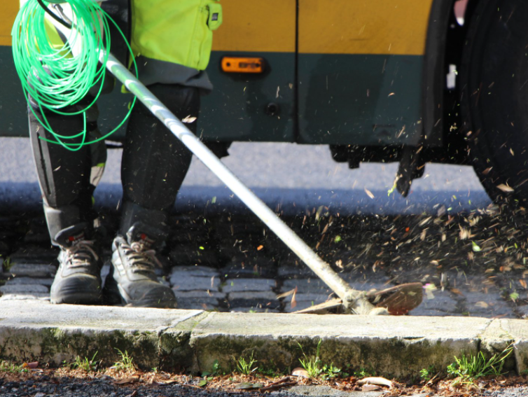 Cantoneira/o de limpeza: recrutamento até 10 de maio