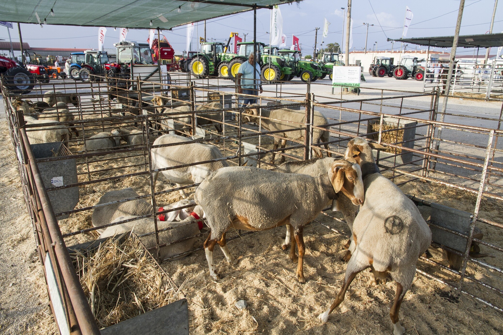 Câmara apoia Feira Comercial e Agrícola do Poceirão