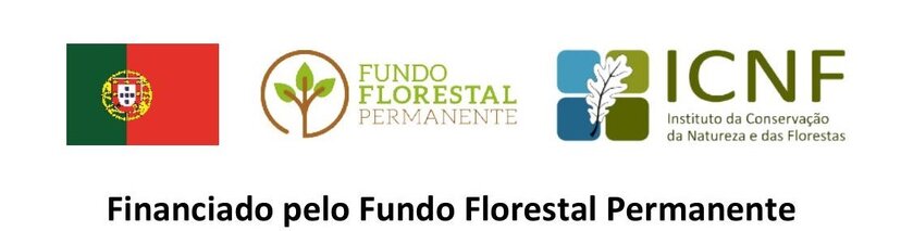 Publicita&ccedil;&atilde;o Horizontal_1