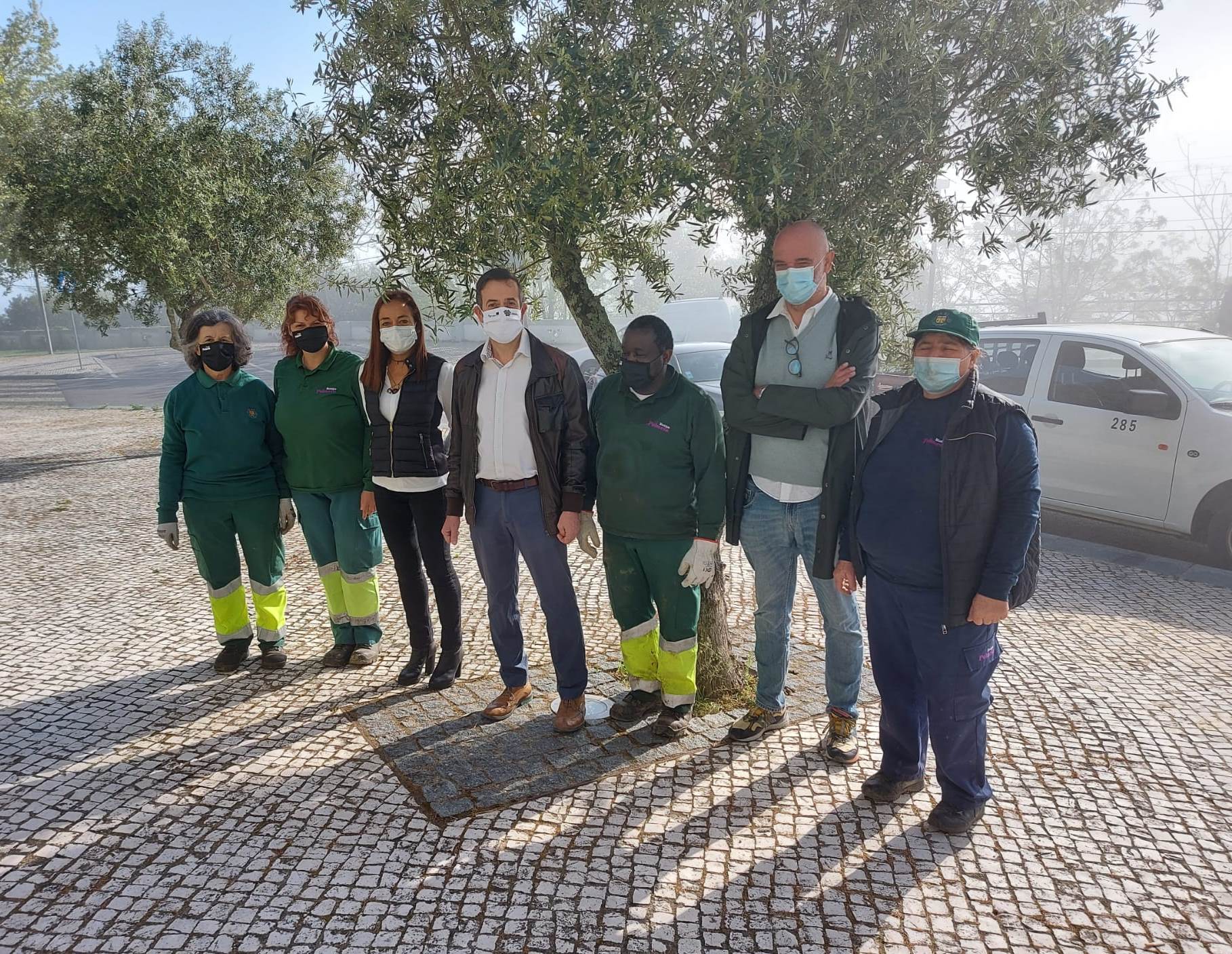 Planta&ccedil;&atilde;o de carvalho_grupo