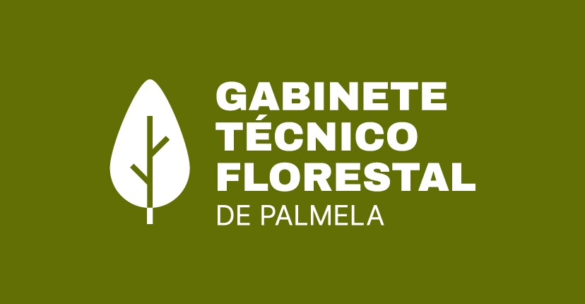 Assinatura Gabinete Técnico Florestal