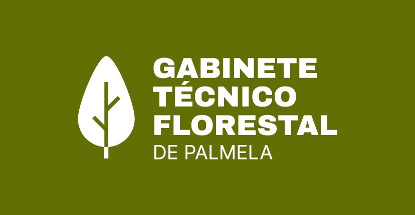 Assinatura Gabinete T&eacute;cnico Florestal