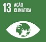 ODS13