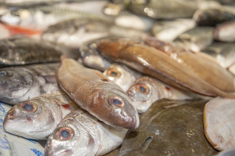 peixaria mercado municipal de palmela