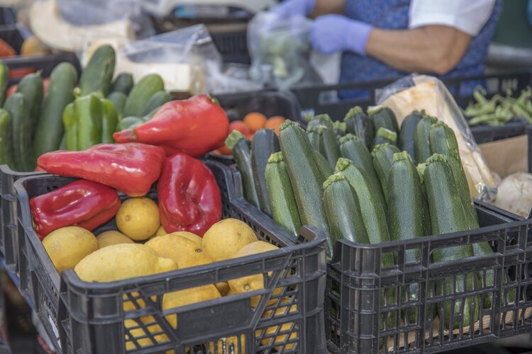 produtores mercado municipal de palmela