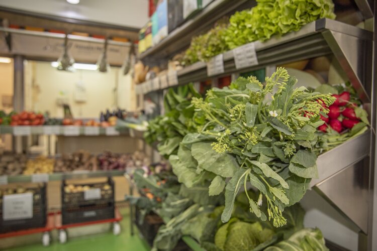 legumes e frescos mercado municipal de palmela