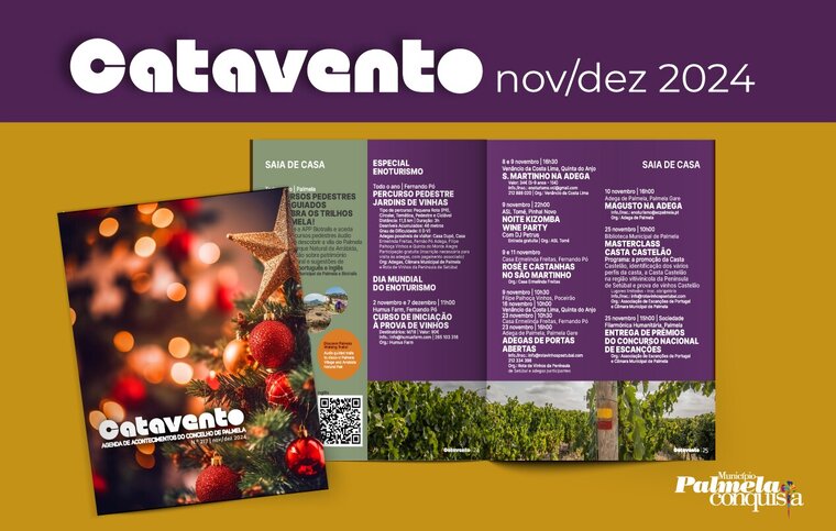 newsletter catavento novembro e dezembro