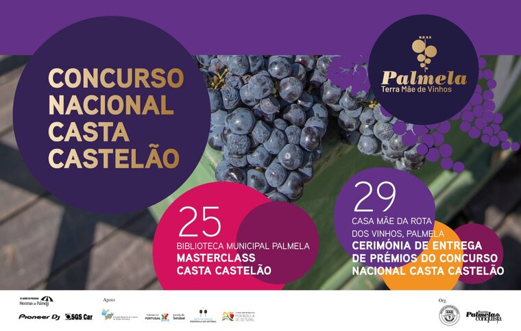 newsletter concurso da casta castelao