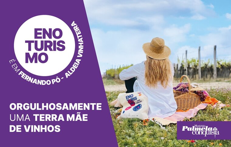 newsletter promocional da campanha de enoturismo na aldeia vinhateira de fernando p&oacute;