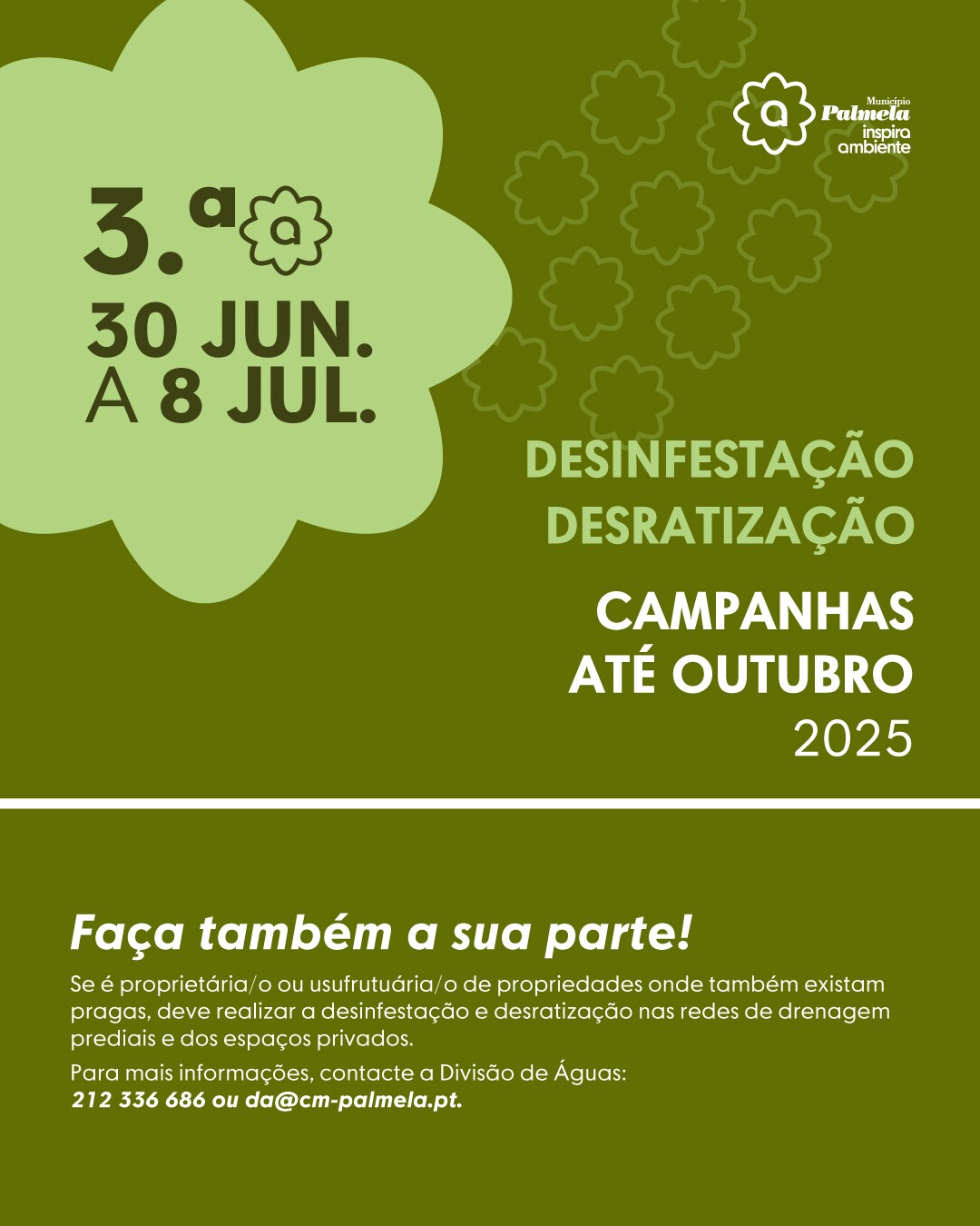 campanhas desinfesta&ccedil;&atilde;o junho e julho