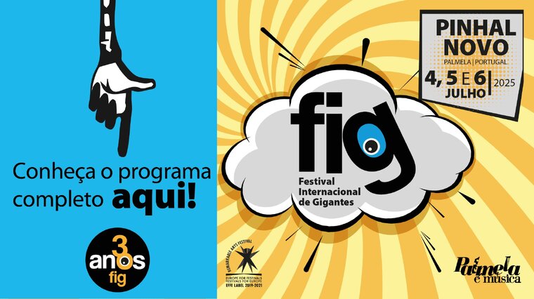 NEWSLETTER programa FIG