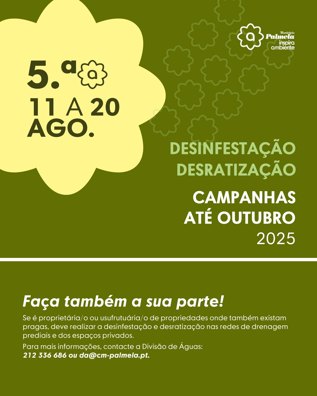 campanhas de desinfesta&ccedil;&atilde;o em agosto