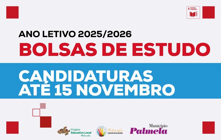 newsletter bolsas de estudo