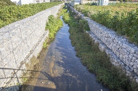 ribeira_da_salgueirinha_1_2500_2500