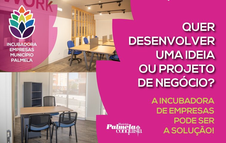 NEWSletter incubadora de empresas