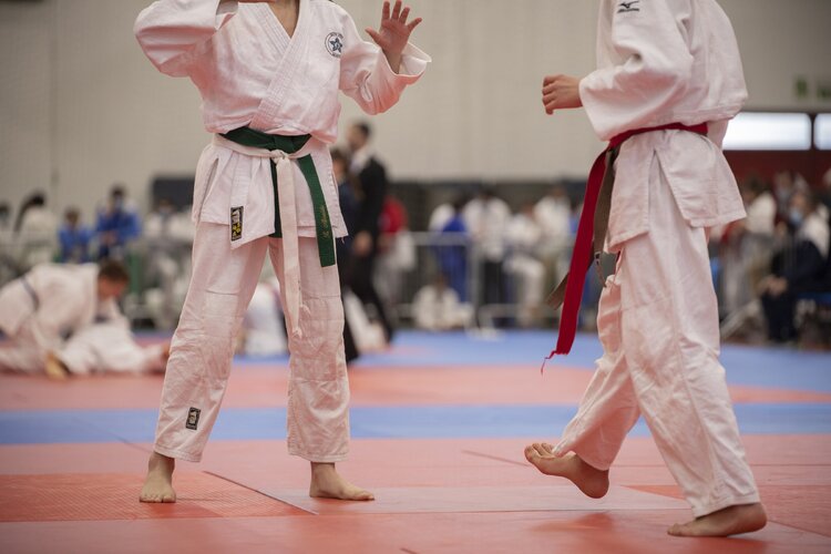 judo