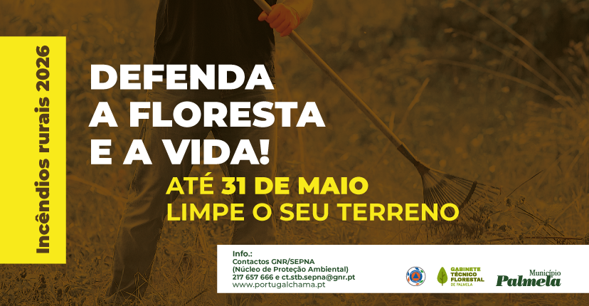 imagem promocional limpeza de terrenos