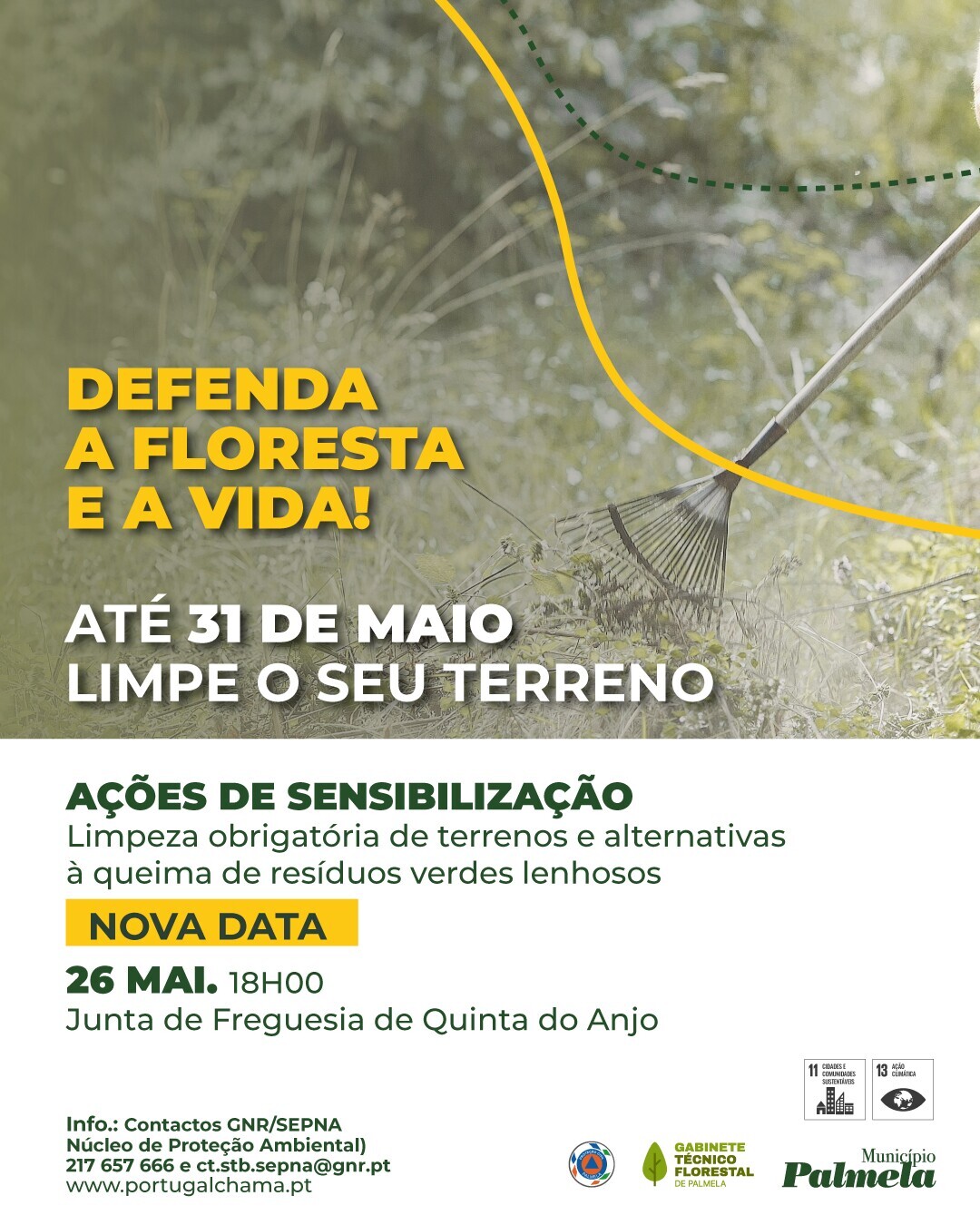 redes-a&ccedil;&atilde;o-quinta-do-anjo