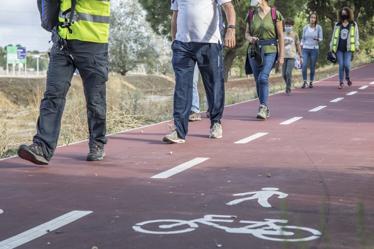 ciclovia pinhal novo