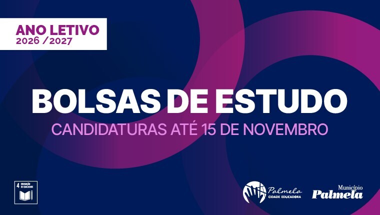 BOLSAS ESTUDO 26