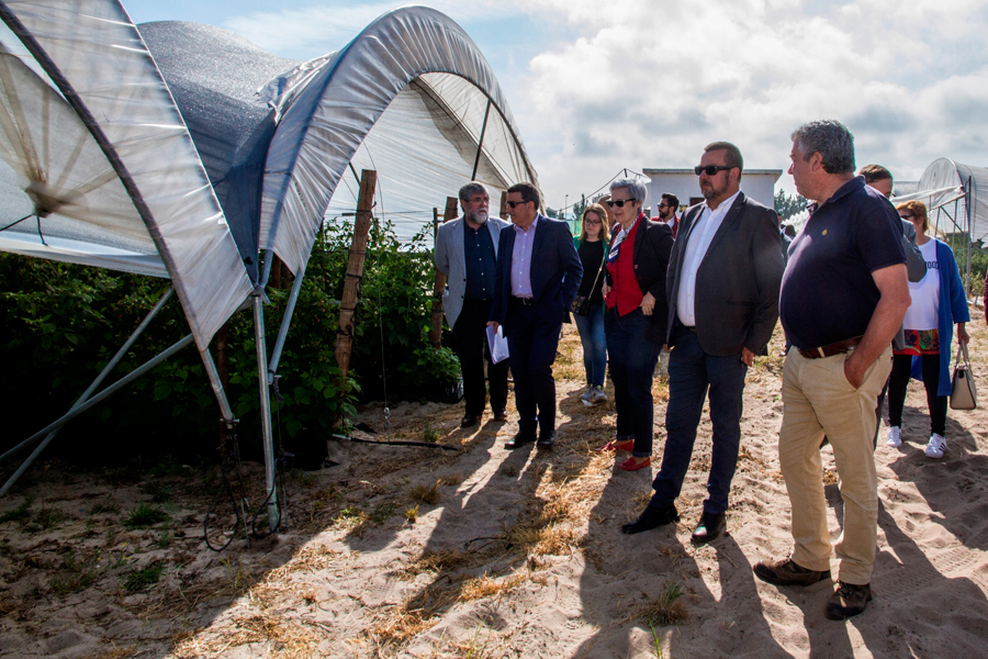 Explora&ccedil;&atilde;o-Framboesa-(1)