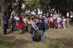 Comemorações do Dia da Árvore