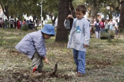 Comemorações do Dia da Árvore