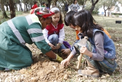 Comemorações do Dia da Árvore