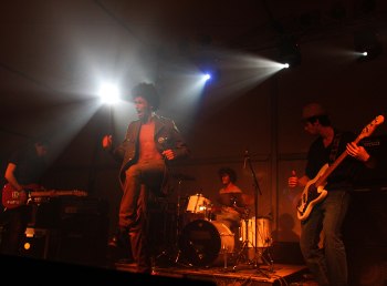 Skills & The Bunny Crew