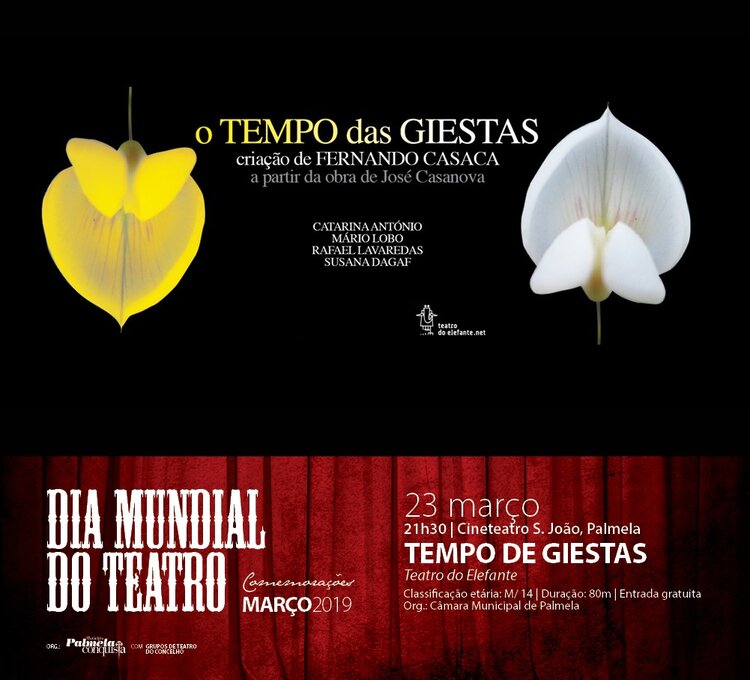 diamundialteatro_newsletter5
